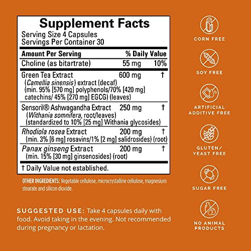 Dr Amen BrainMD Focus & Energy - 120 Capsules - Mental Endurance Booster, Promotes Concentration & Attention - Caffeine Free, Gluten Free - 30 Servings