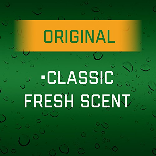 Irish Spring Body Wash, Original, 18 Fl Oz (Pack of 6)