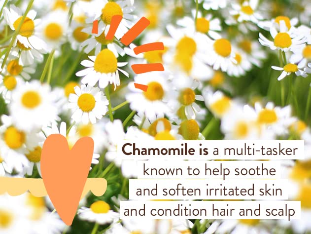 Babo Botanicals Sensitive Baby Fragrance-Free Diaper Cream - 25% Natural Zinc Oxide - Calendula, Shea & Cocoa Butter - EWG Verified - Vegan- From birth on