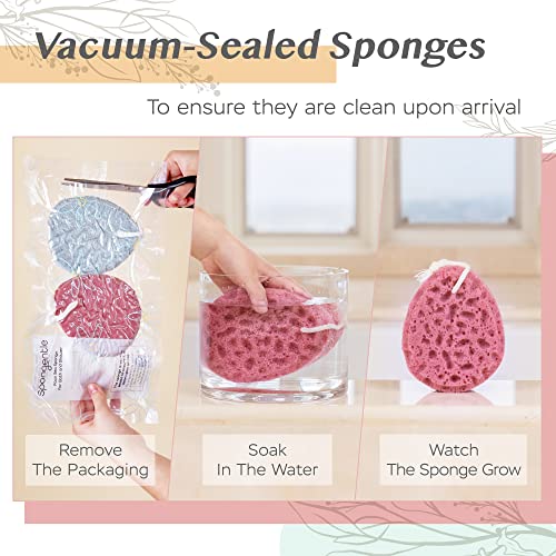 Spongentle Deep Cleansing Body Loofah Sponge, Natural Colors, for Bath and Shower, Multiple Textures for Gentle and Deep Exfoliation, Generous and Rich Lather, (Pack of 2)