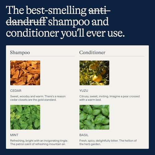 Flakes Anti Dandruff Shampoo and Conditioner Set for Men with Scalp Massager | Dry, Flaky, & Itchy Scalp Shampoo | Sulfate and Paraben Free | Hydrating Shampoo & Moisturizing Conditioner | 9 fl oz