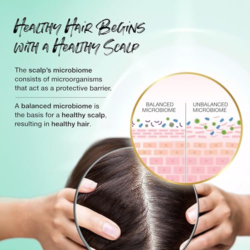 Biotera Anti Frizz Smoothing Conditioner | Frizzy or Unruly Hair | Microbiome Friendly | Vegan & Animal Test Free | Paraben Free | Color-Safe | 32 Fl Oz