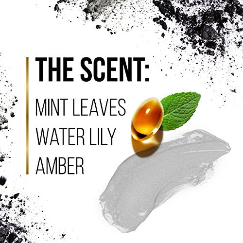 Pantene Pro-v Blends Charcoal Conditioner, 10.1 Fluid Ounce