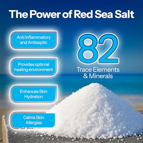 H2Ocean Piercing Aftercare Spray and Keloid Bump Removal– Sea Salt Spray for Body and Facial Piercings – Ear, Nose, Navel, Oral & Body Piercing Cleaner, Aftercare Solution for New Piercings– 1.5oz