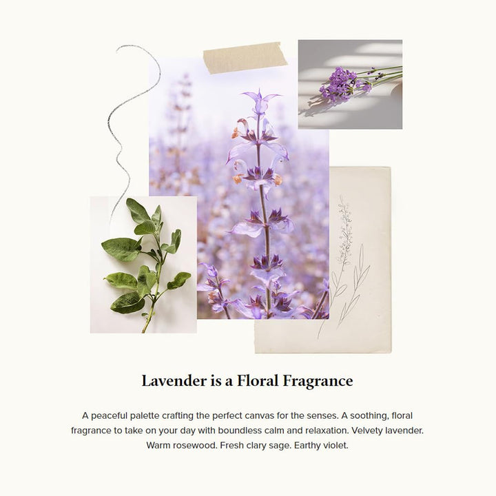 Thymes Lavender Body Lotion by Thymes