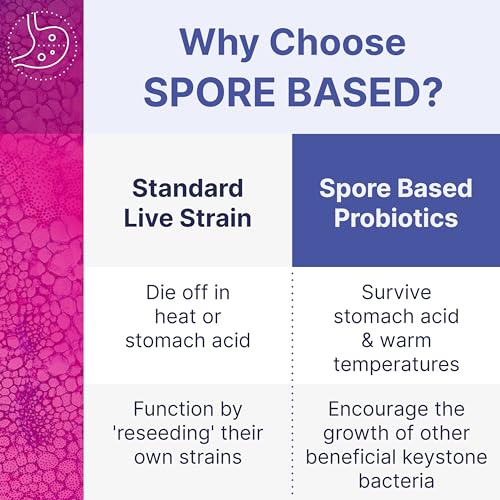 Microbiome Labs MegaSporeBiotic Probiotics for Women & Men - Spore Based Probiotics for Digestive Health - Shelf Stable & Travel-Friendly (60 Capsules)