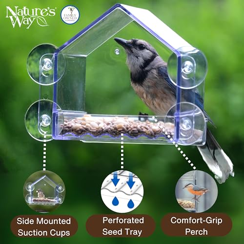 Nature's Way Win-3 Clear View Window Bird Feeder with Strong Suction Cups, Transparent Outdoor Wild Bird Seed Feeder and Décor, 2 Cup Capacity, Clear, 6.5