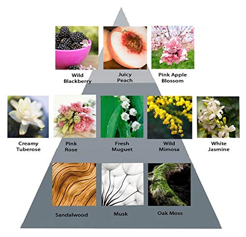 Perry Ellis 360 Purple for Women, 8.0 fl oz Body Mist