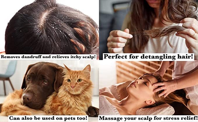 2 Pcs 3.5 Dia Round Scalp Head Massage Shampoo Brushes Red Blue