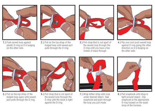 Baby Buddy Deluxe Safety Harness, with Adjustable Tether and Chair Restraint Straps, for Ages 9 Months to 4 Years, Black, 4 Piece Set