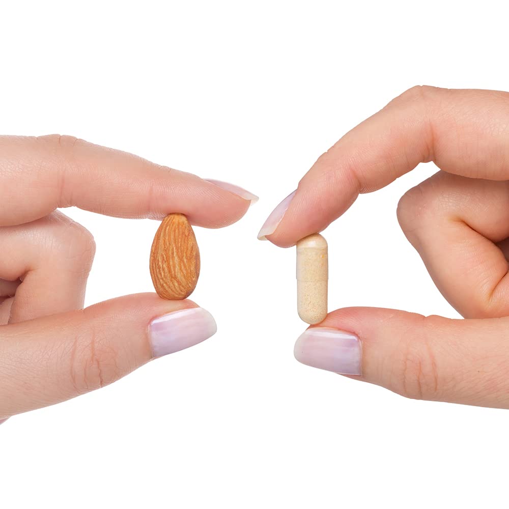 Seeking Health B Complex Plus - Vitamin B Complex Supplement with Choline & Riboflavin - Supports Brain Health, Digestion, & Energy - 100 Capsules