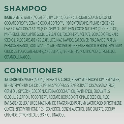 Michiru Strengthening Shampoo, Sulfate-Free & Conditioner, Silicone-Free – Japanese Hair Care, Scalp Treatment with Cherry Blossom Extract and Rice Oil, 9 Oz Each (2 Piece Set)