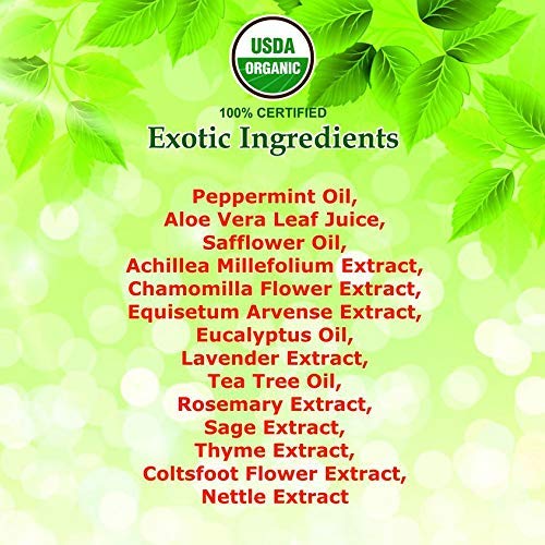 Giovanni Organic Tea Tree Conditioner, Pack of 1, 250ml