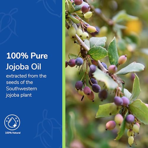 Earth’s Care Jojoba Oil - 100% Pure Jojoba Oil for Hair, Skin and Nails - Cold Pressed - Nourishing Natural Moisturizer - 8 FL OZ