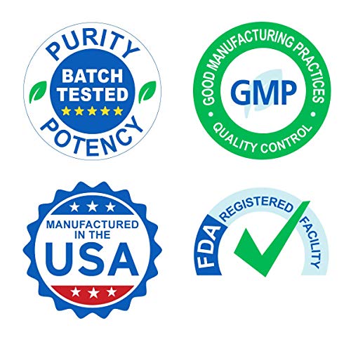 Wellness Resources Daily DHA - Highest Potency & Purity DHA Fish Oil in TG Form (180 Capsules)