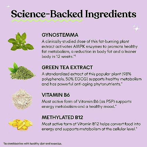 Lemme Burn - Metabolism, Belly Fat Burning + AMPK Activating Supplement for Men & Women w/Clinically Studied Actiponin Gynostemma, Green Tea Extract, Vitamins B6 & B12 - Gluten Free, 60 Count