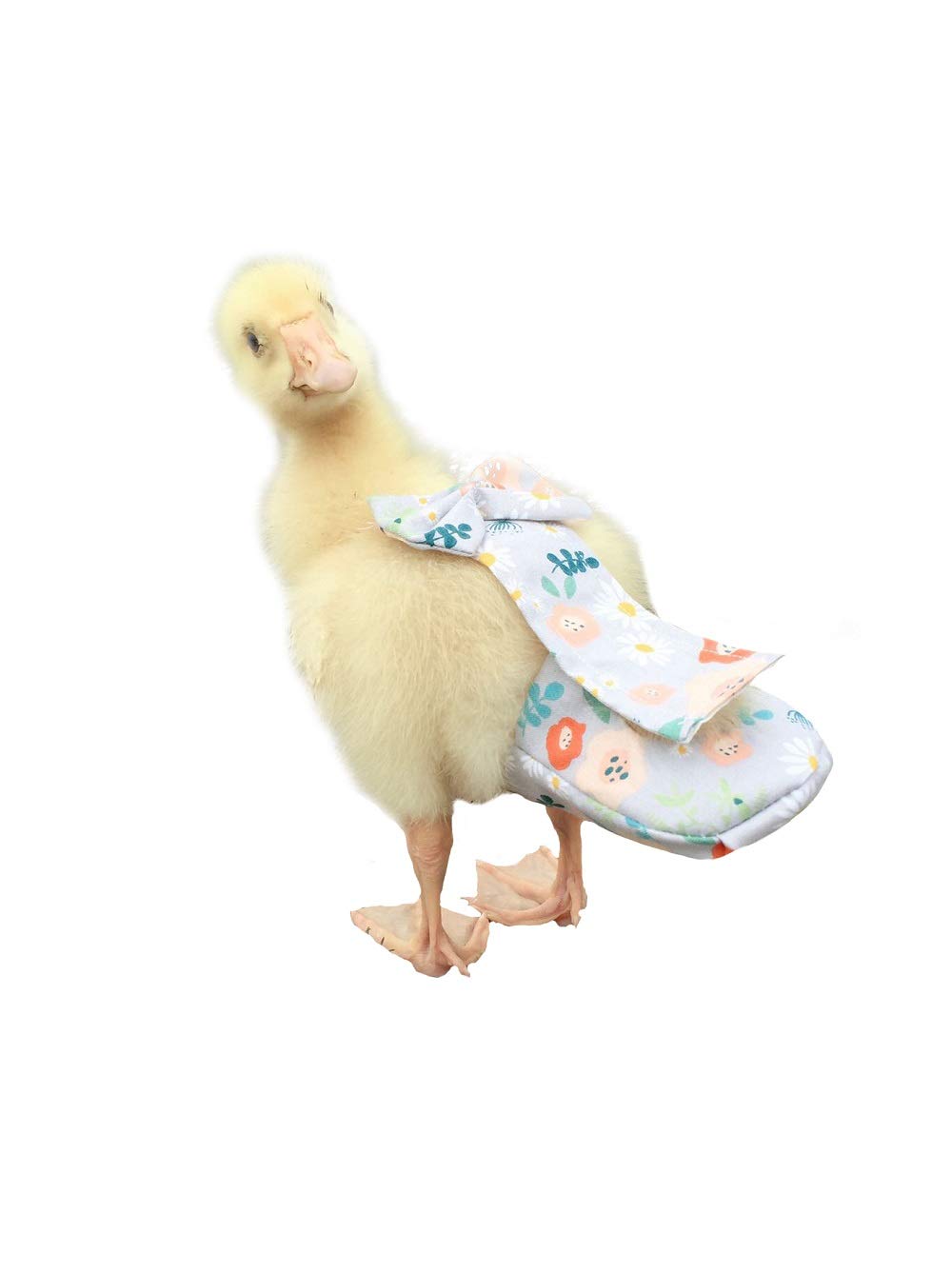 Duck Diapers, Chicken Diapers, Special Diapers for Poultry, Chicken, Duck and Goose Waterproof, Adjustable, Washable and Reusable Diapers,Poultry Supplies, Duck Supplies (S:100-200)