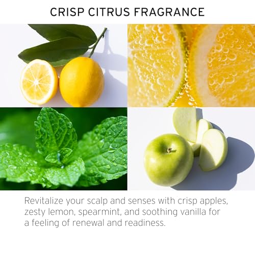 Fekkai Apple Cider Detox Clarifying Scrub - 7.5 oz - Scalp Treatment - Removes Build-Up & Exfoliates - For All Hair Types - Vegan, Cruelty-Free