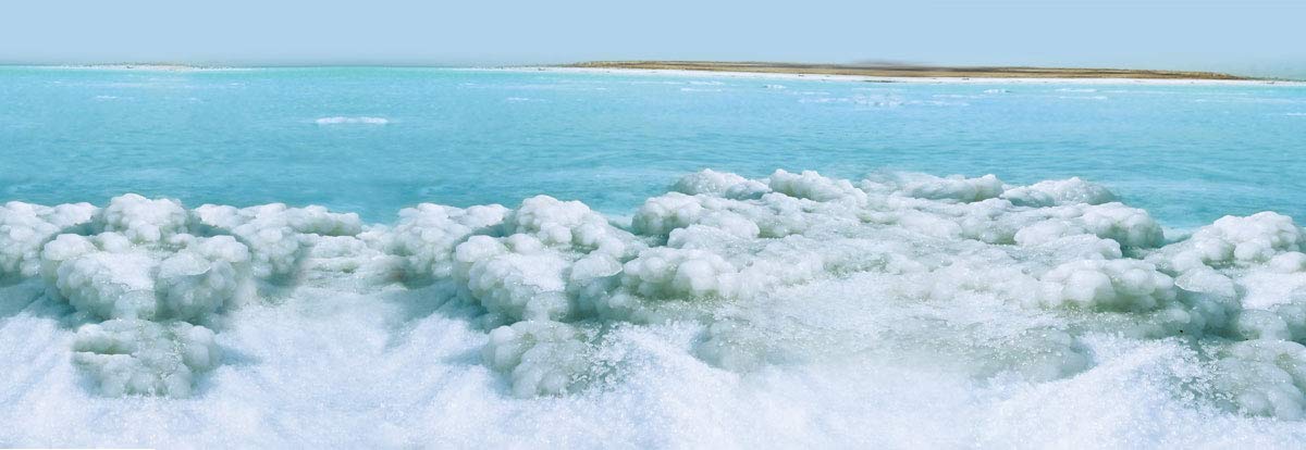 Swisa Beauty Dead Sea Body Butter Milk and Honey - Thick and Creamy Skin Softener Leaves The Skin Silky Smooth and Refreshed.