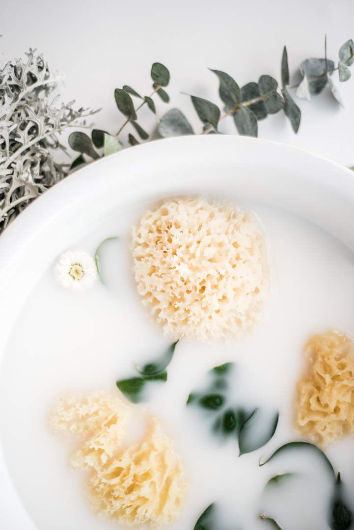 Kyte BABY Natural Sea Sponge Harvested from The Gulf of Mexico, 4 to 5 Inches