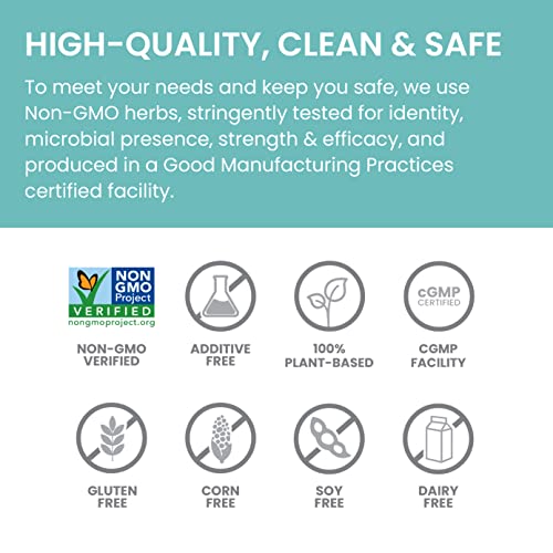 Himalaya LiverCare for Total Liver Support, Cleanse and Detox, Protects Cells & Enzymes, 375 mg, 42 Capsules, 3 Week Supply