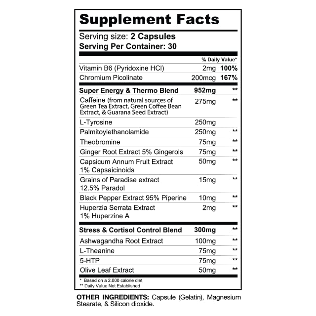 Gaspari Nutrition DTN8: Explosive Fat Burner, Natural Energy and Mental Focus, Adrenal and Stress Support (60 Capsules)