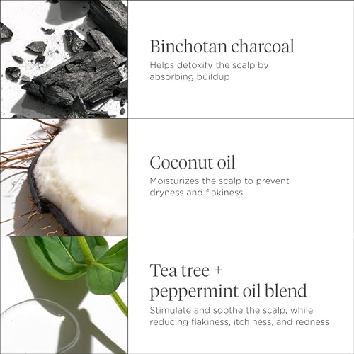 Briogeo Scalp Revival Charcoal + Coconut Oil Micro-Exfoliating Shampoo, Treatment for Dry & Itchy Scalp, Clarifying Shampoo for Build Up, Scalp Scrub for Oily Scalp, Vegan, Cruelty-Free, 8 fl oz