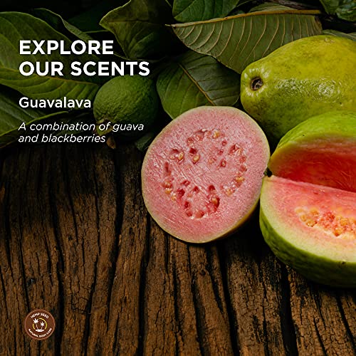 Earthly Body Hemp Seed Bath & Shower Gel, Guavalava Scent - 8 oz - Moisturizing Formula with Hemp Seed Oil, Chamomile & Hydrolyzed Wheat Protein - Vegan, Cruelty Free