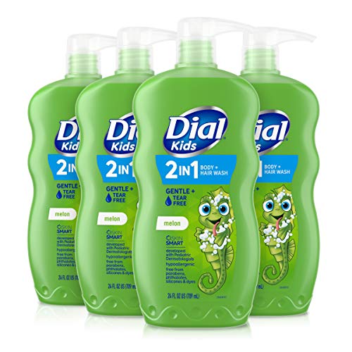 Dial Kids 2-in-1 Body+Hair Wash, Melon Scent, 24 fl oz (Pack of 4)