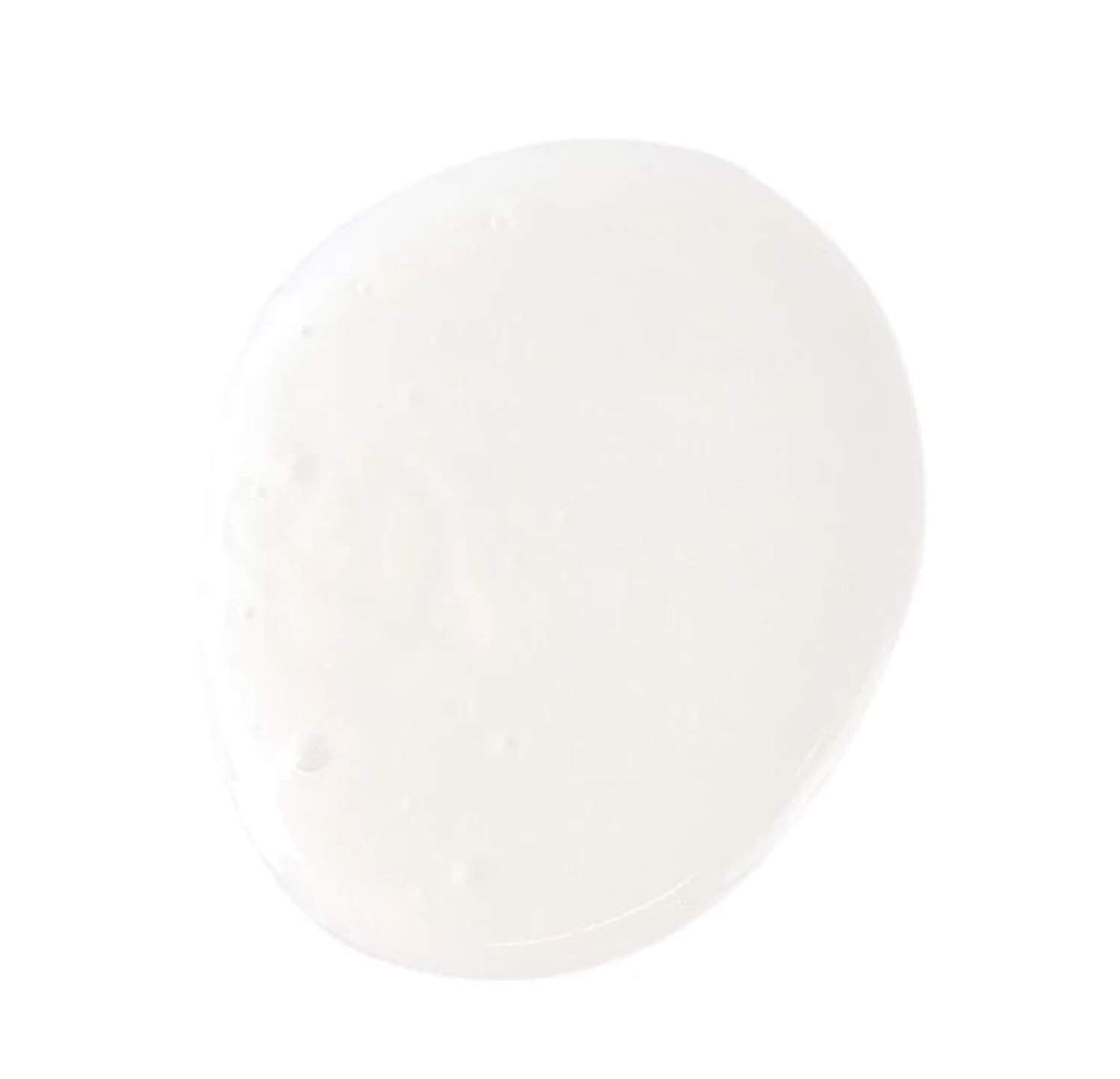 Pattern Hydration Curl Shampoo 3 Fl. Oz! Blend Of Aloe Vera Leaf Juice, Coconut Oil & Honey! Creamy Luxurious Shampoo For Curly Hair! Good Shampoo For Curly Hair! Sulfate Free Shampoo For Curly Hair!