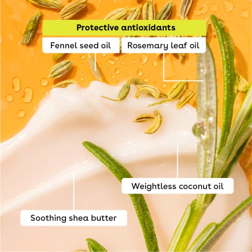 eos FlavorLab Lip Balm Stick and Sphere, Watermelon Frosé, Natural Shea Lip Products, 2 Count(Pack of 1)