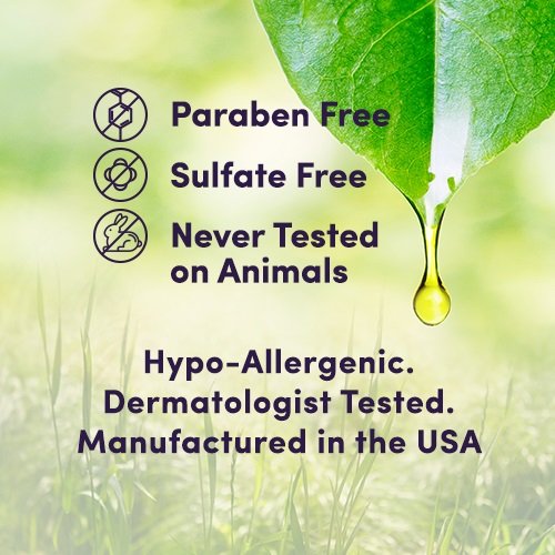 NxN Beauty Sleep Invisible Overnight Moisturizer Super Hydrating Face Mask Natural & Organic Anti-Aging Formula for Dry/Sensitive Skin, 1 Fl Oz