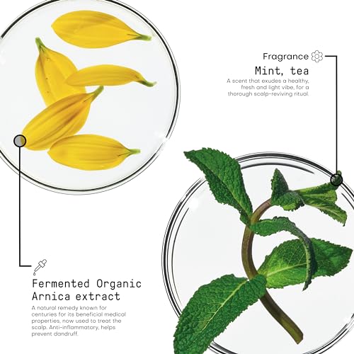 FRAMESI Morphosis Scalp Destress Shampoo 8.4 fl oz, Soothing Shampoo for Sensitive Scalps, Natural Ingredients and pH Balanced