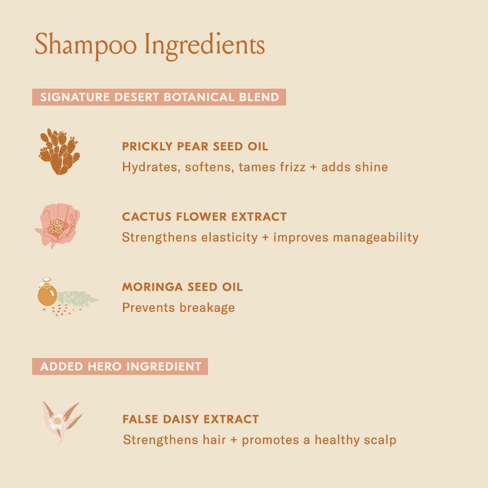 DAE Signature Duo Set (Shampoo & Conditioner)