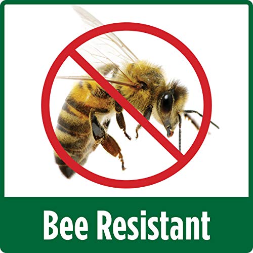 Nature's Way Bird Products SFHF2 So Real Single Flower Hummingbird Feeder, Purple, 4 Dia.