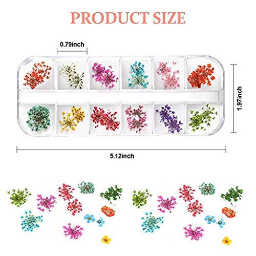 Teenior 24 Colors Nail Dried Flowers, 3D Nail Art Sticker for Tips Manicure Decor Mixed Accessories, Starry Leaves Flower (2 Boxes)