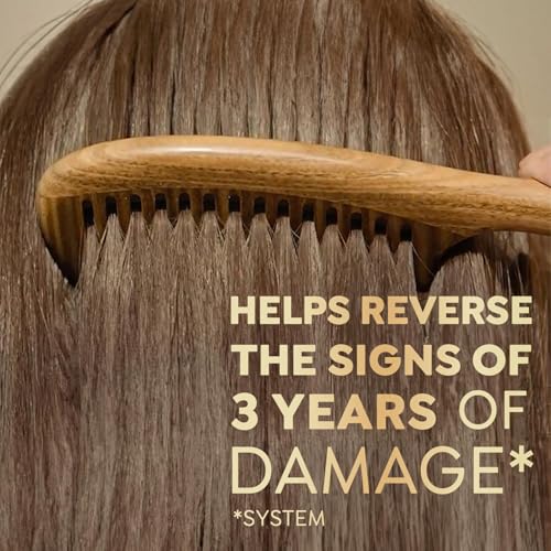 Dove Bond Strength Shampoo & Conditioner Set –Daily Strengthening Treatment for Dry, Damaged Hair, 12 Oz Ea