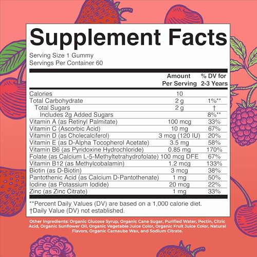 MaryRuth Organics Vitamin Gummy | Kids and Toddlers Age 2+ | USDA | Daily Vitamin C | D3 | Zinc | Mixed Berry and Cherry | 2 Month Supply