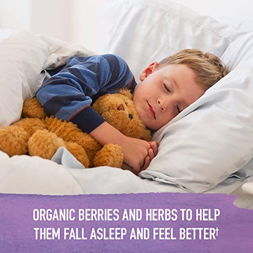 Garden of Life Organics Elderberry Immune Support for Kids with Zinc, Vitamin C - Kids Elderberry & Sleep Immune Syrup Liquid, Bedtime Herbs for Children, No Alcohol, No Added Sugar, 3.92 fl oz