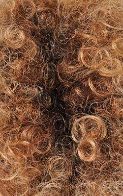 Outre Synthetic Drawstring Ponytail Timeless Afro Large (2T1/27613) by Outre