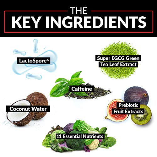 FORCE FACTOR ProbioSlim Weight Loss Essentials Complete Daily Digestive Health and Weight Loss Probiotic Supplement for Women and Men with Electrolytes and Green Tea Extract, 120 Capsules