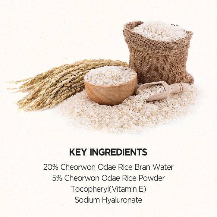SKINFOOD Rice Mask Wash Off 3.5oz / Gently Exfoliates the Skin/Softening with Nutrient Rich Rice