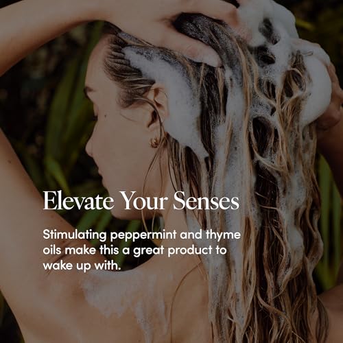 LATHER - Mint Thyme Hair Wash, 8 fl oz - Daily Shampoo & Cleanser - Revitalize Hair - Aloe, Chamomile, Cucumber - Sensitive Skin Safe - Hotel Approved - Vegan & Cruelty Free - Beauty & Hair Care