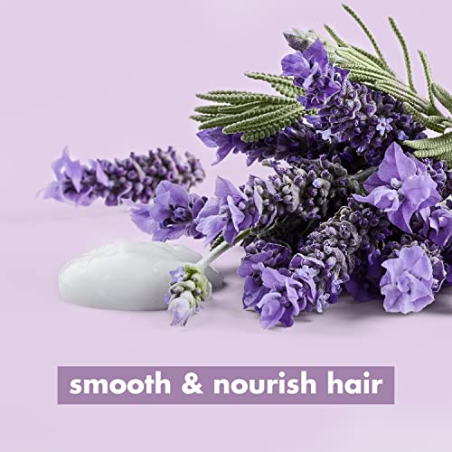 Love Beauty and Planet Smooth & Serene 100% Biodegradable Conditioner Moisture Conditioner For Frizz Control Argan Oil & Lavender Vegan Conditioner 0% Silicones, Parabens, And Dyes 13.5 oz