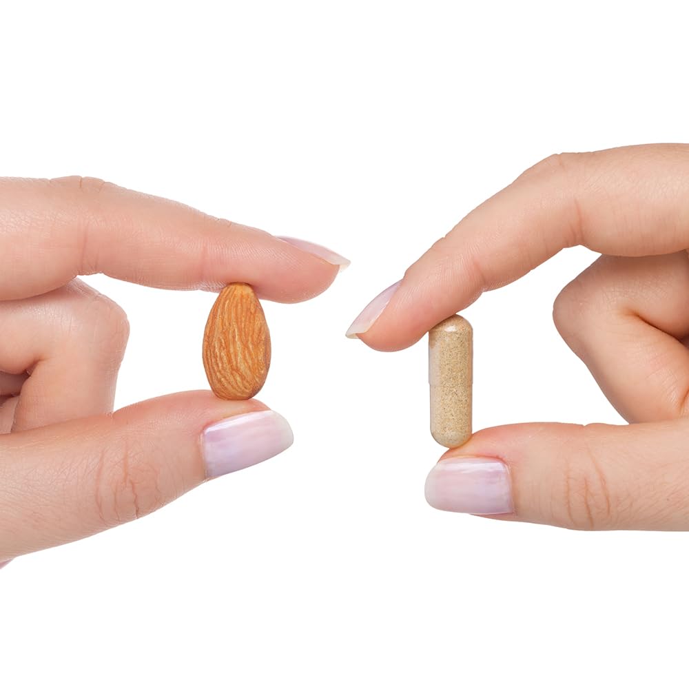 Seeking Health Optimal Multivitamin Plus, Active B Vitamins and L-5-MTHF, Riboflavin, B6, Bioavailable Folate and B12, CoQ10, Methylation Support, Vegetarian (240 Capsules)