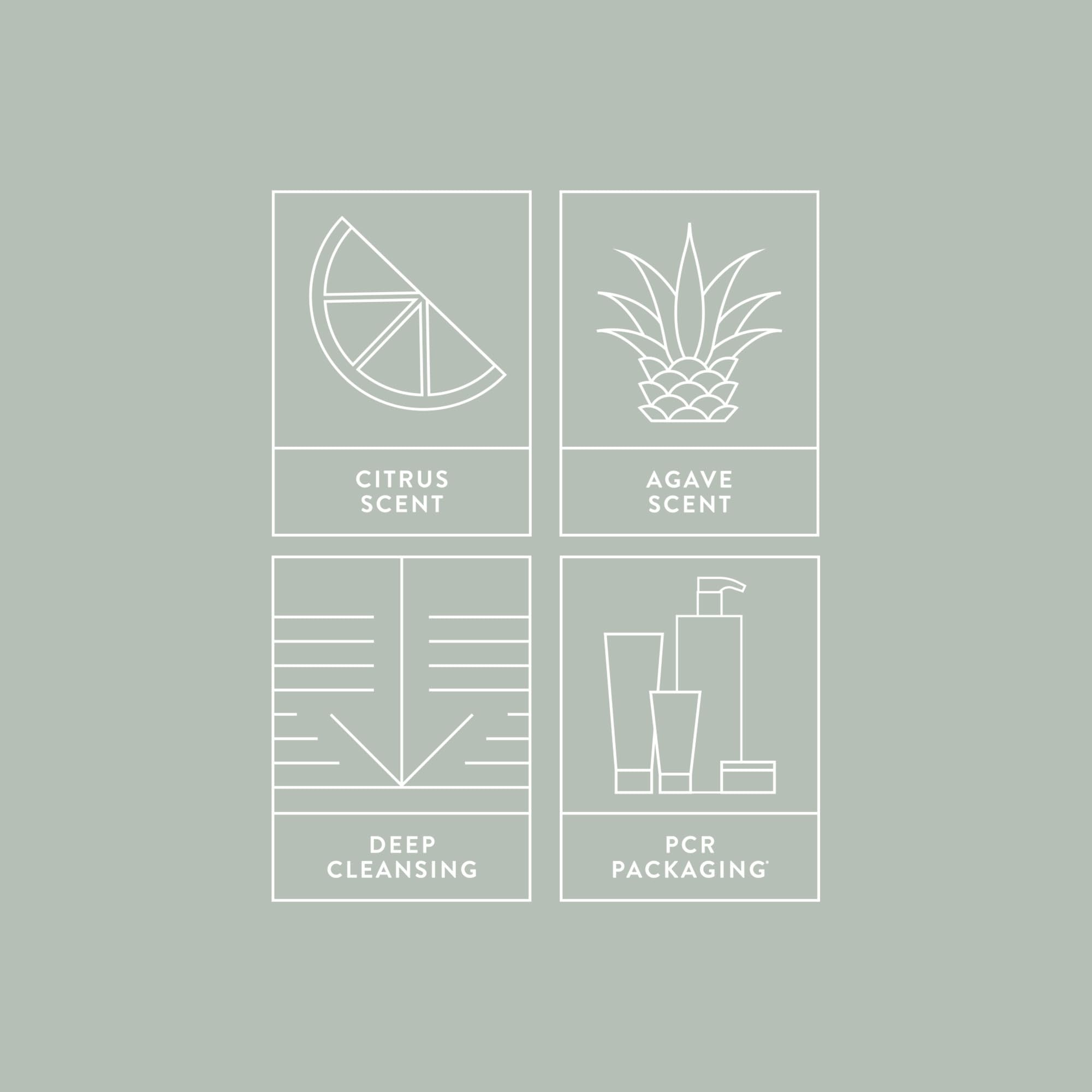 Mitch Heavy Hitter Daily Deep Cleansing Shampoo, 250ml