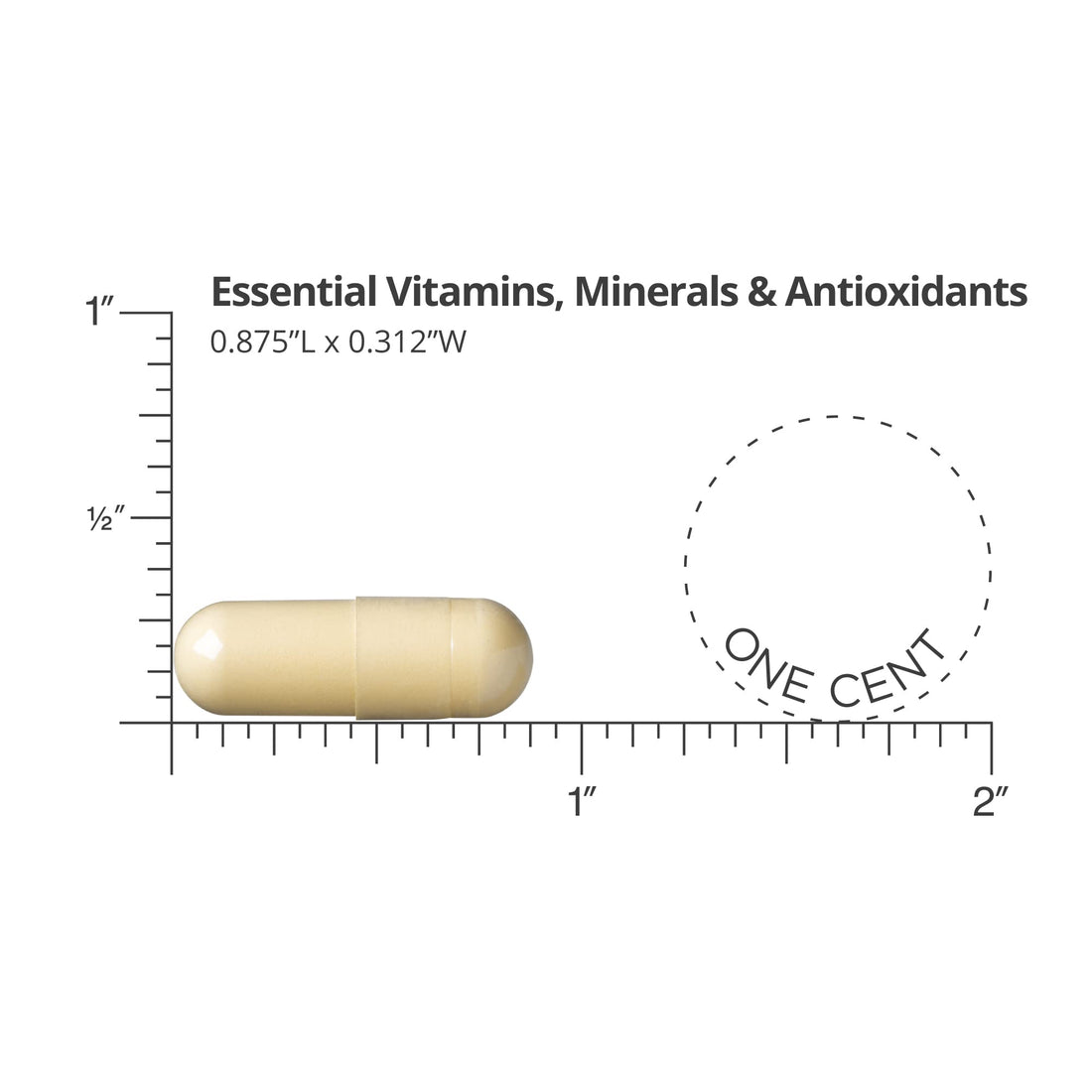 Dr. David Williams' Daily Advantage Multi-Nutrient Vitamin Supplement for Immune, Cardio and Cognitive Health, and Total Body Wellness, 60 Packets