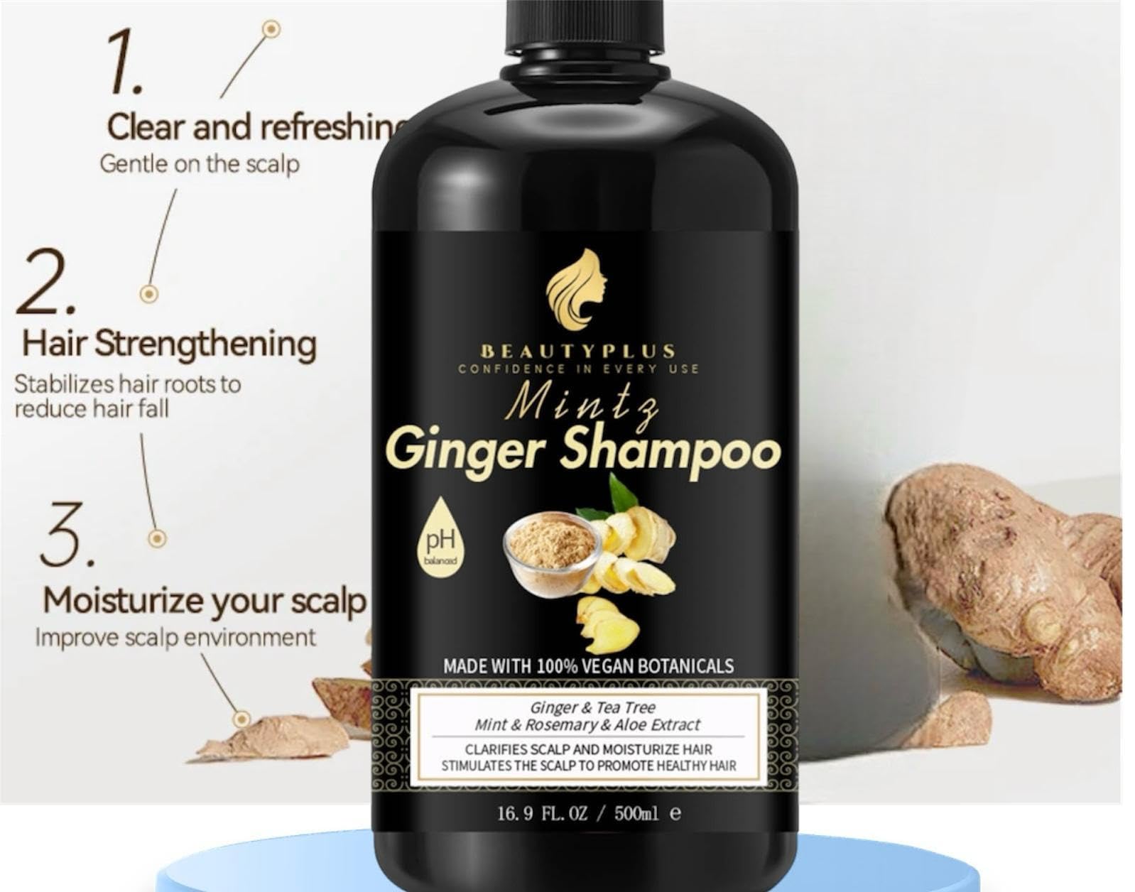 Mintz Ginger Shampoo
