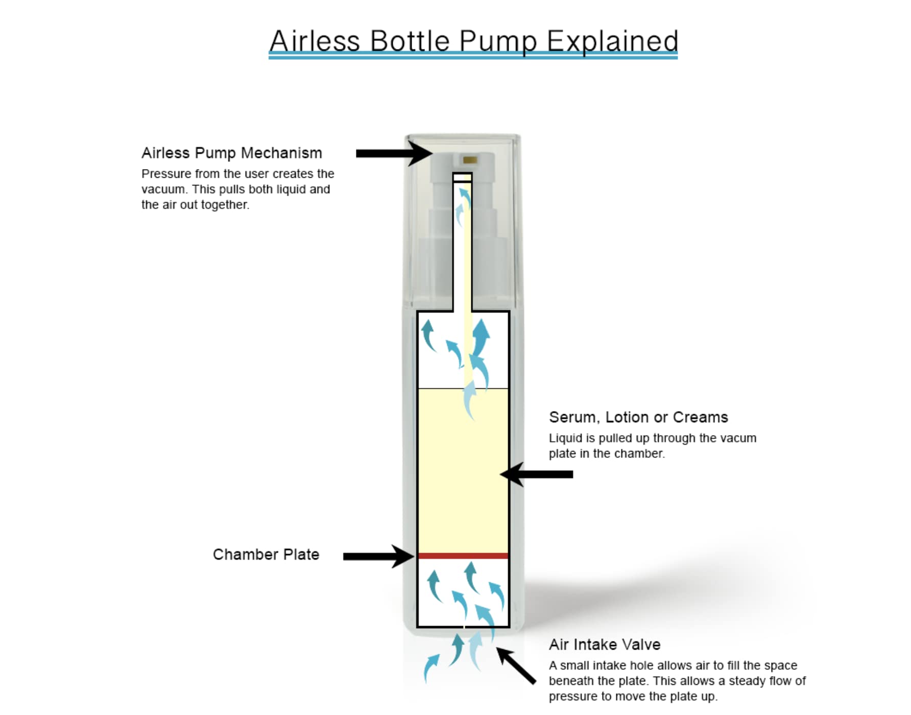 KissRedE 1Sheet Fruit/Lollipop/Ladybug Nail Art Stickers Water Transfer Nail Tips Decals Charm DIY Designs Manicure Decoration BESTZ489: STZ495