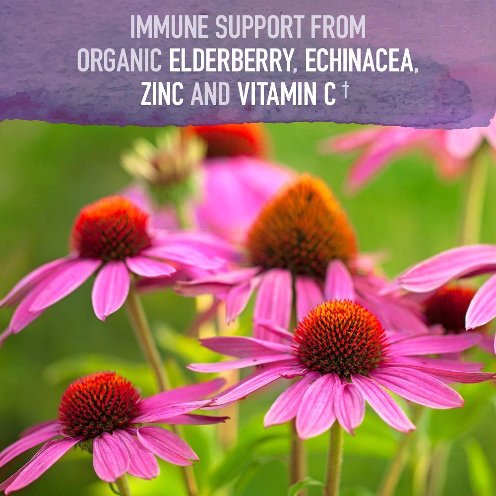 Garden of Life Organics Plant-Based Elderberry Immune Syrup 6.59 fl oz (195 Ml) for Kids & Adults: Sambucus, Echinacea, Zinc & Vitamin C, 0g Sugar, Organic Vegan Gluten Free Herbal Supplement